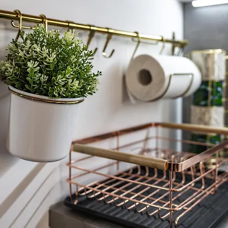 Stare Bulvar, Old Town, Snake