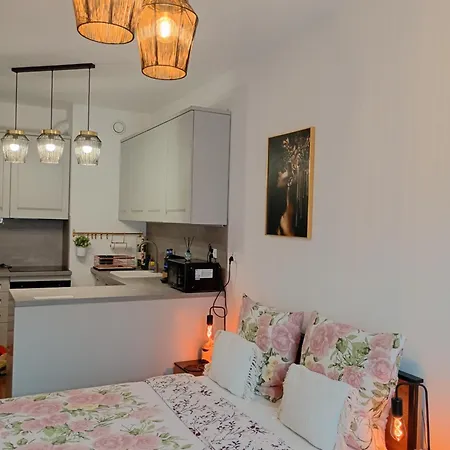 Stare Bulvar, Old Town, Snake Elbląg